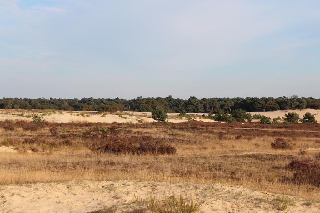 Natuurpoort Van Loon Loon op Zand Exterior foto